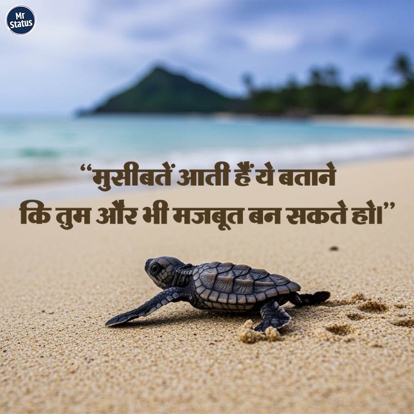 Download free status image